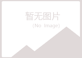 兴山区错过音乐有限公司